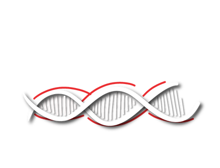 VIT-Used forklifts.png