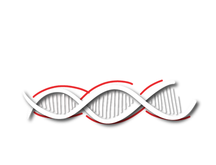 Thai-Used forklifts.png