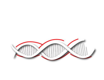 PH-Wholesale.png