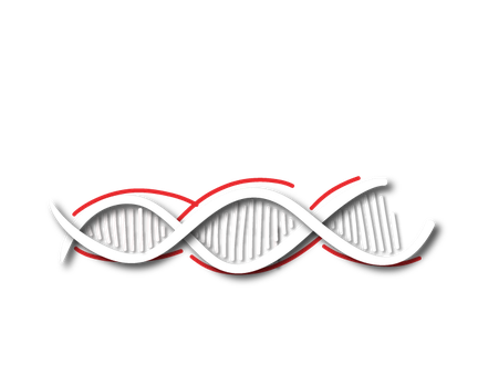DNA-Wholesale only.png