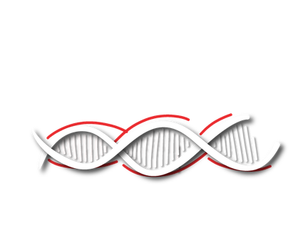 DNA-Reliability.png