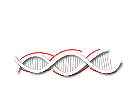 CH-Used forklifts.png