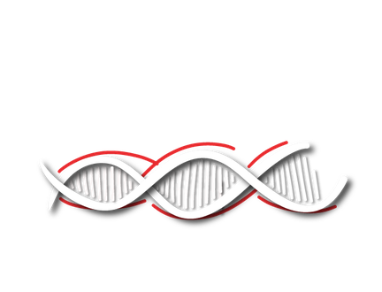 DNA-Used forklifts.png